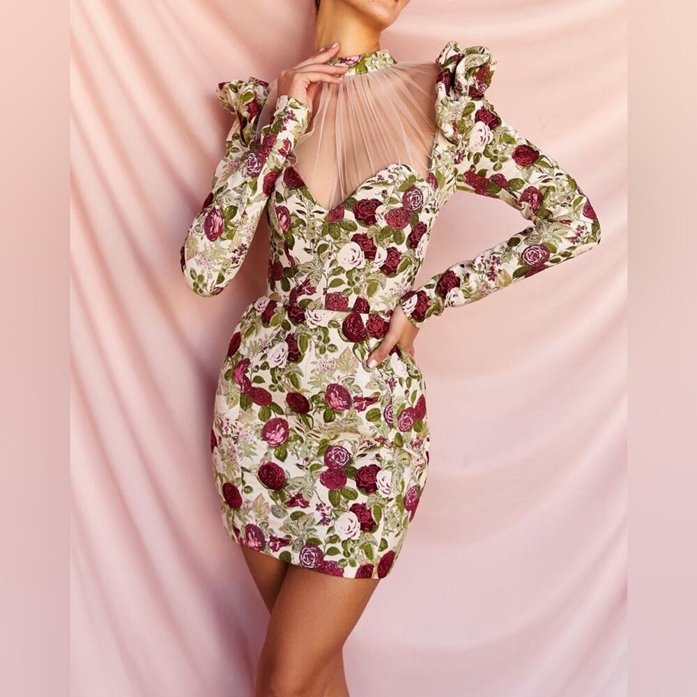 HOUSE OF CB Nola Antique Vintage Floral Rose Print Tulle Sheer High Neck Dress